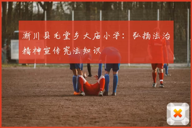 淅川县毛堂乡大庙小学：弘扬法治精神宣传宪法知识