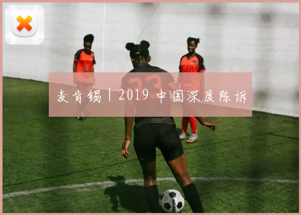 麦肯锡 | 2019 中国深度陈诉