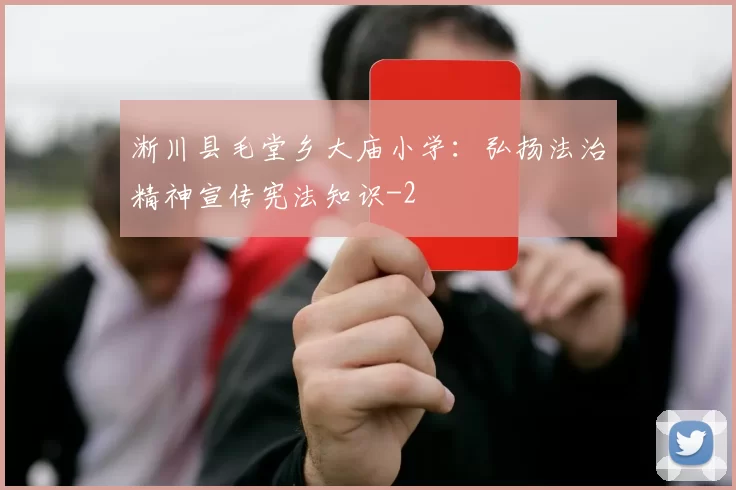 淅川县毛堂乡大庙小学：弘扬法治精神宣传宪法知识