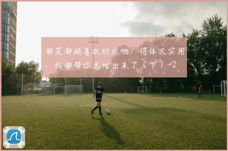 明星都超喜欢的礼物,得体又实用,我都帮你总结出来了(下)